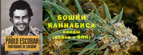 COCAINE Бородино