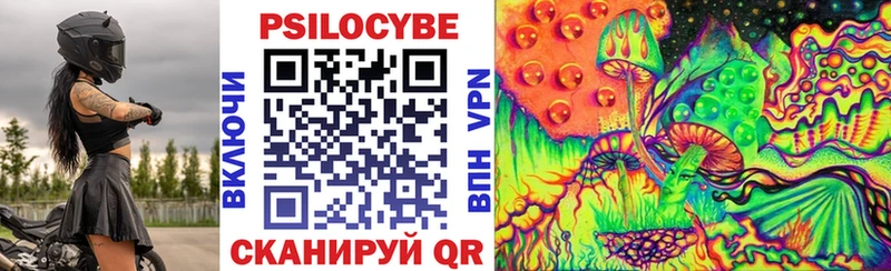 Купить где Мосальск Галлюциногенные грибы Cubensis